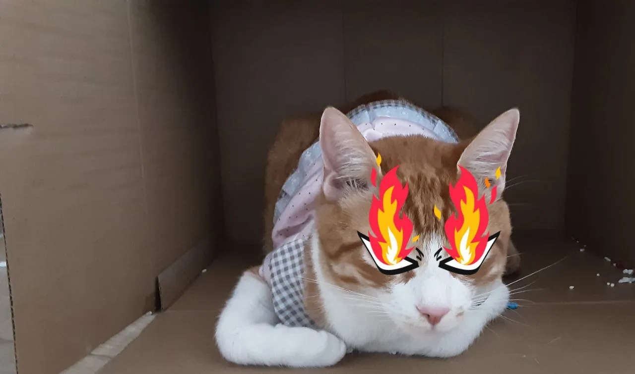 Catmian in a box on fire